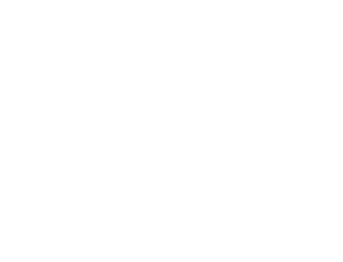 Ion Plus Technology